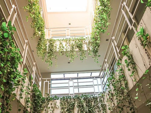 Legreen Suite Pejompongan Jakarta Kültér fotó